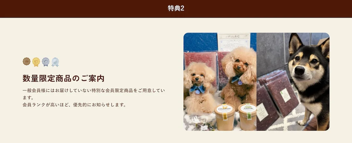 数量限定商品のご案内
