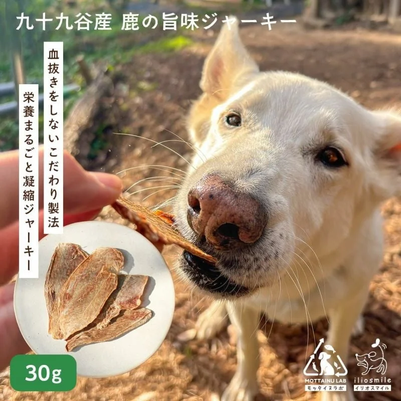 犬と30gジャーキー
