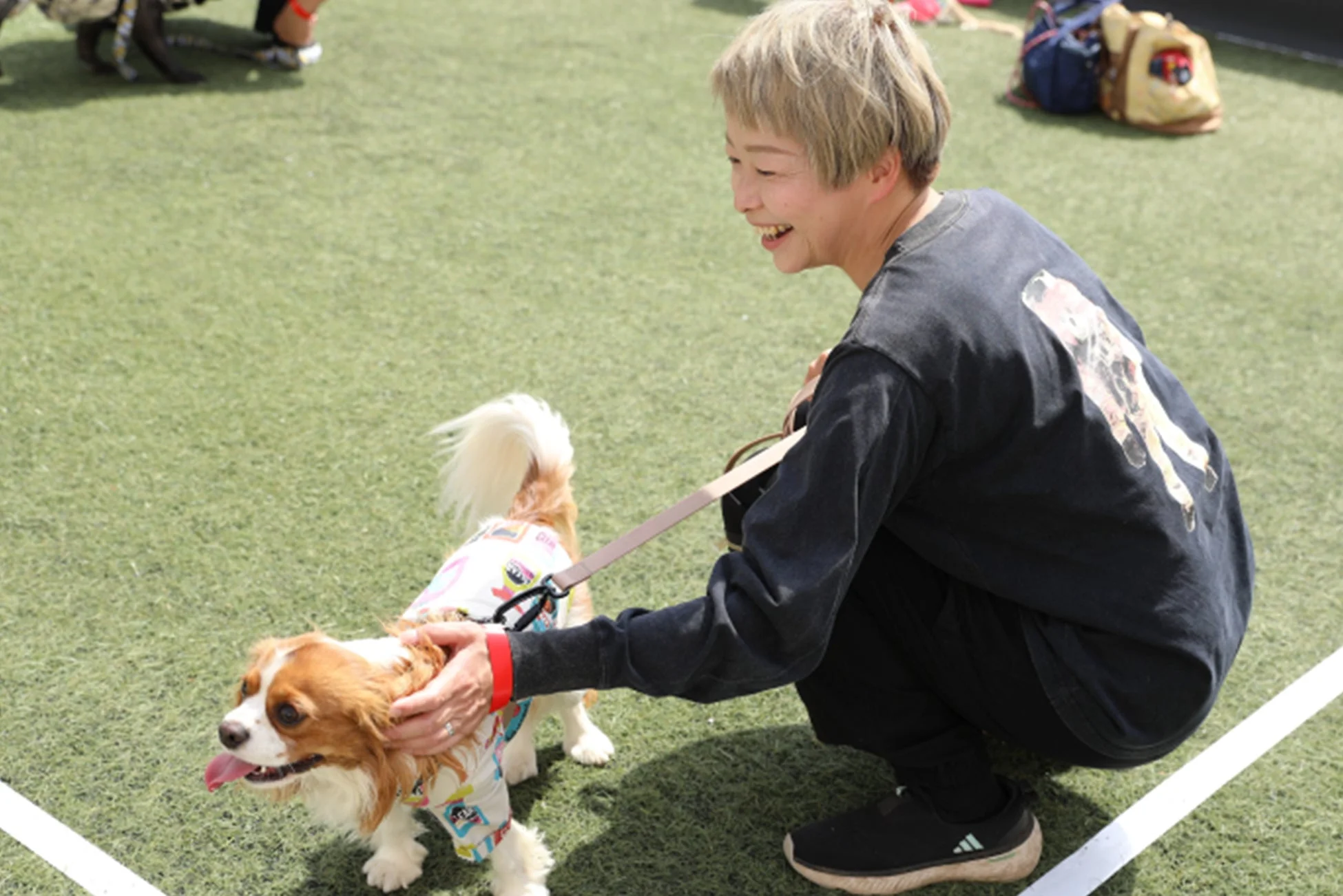 人と犬の触れ合い