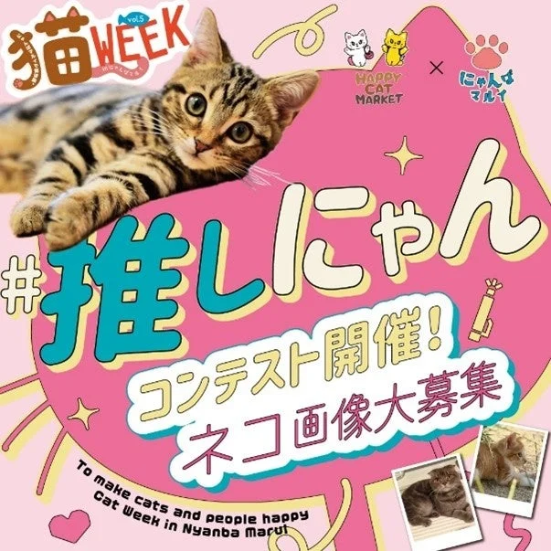推しにゃんコンテスト告知