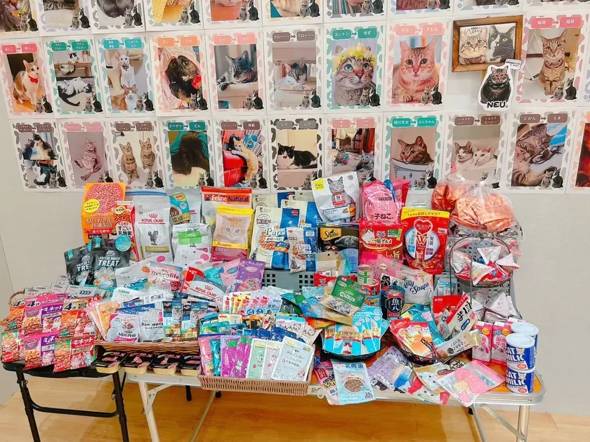 楽しみながら参加できる保護猫支援企画