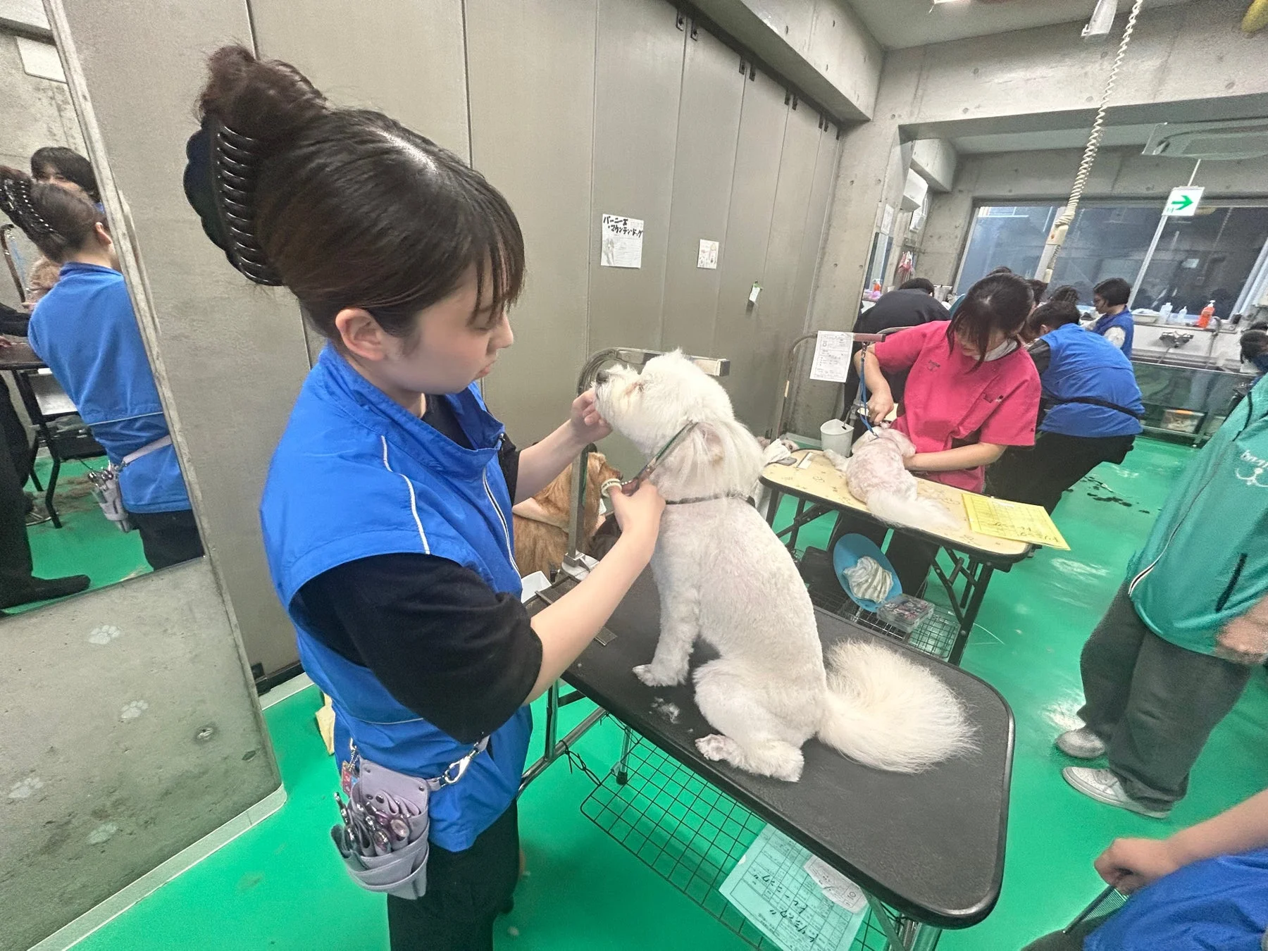 ペットケアの様子