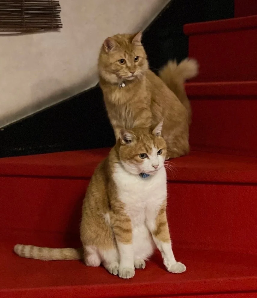 タクちゃん