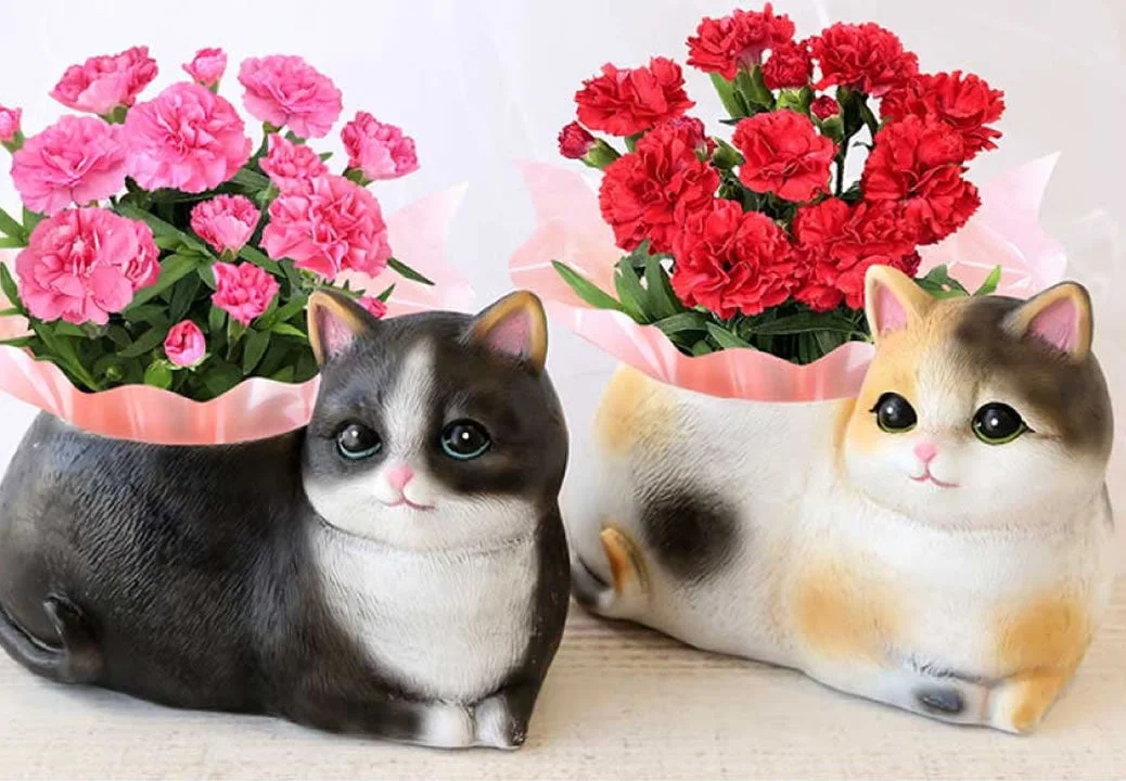 猫の形をした鉢植え、カーネーション
