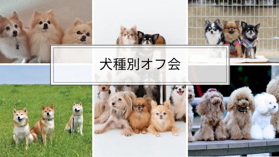 犬種別オフ会のコラージュ