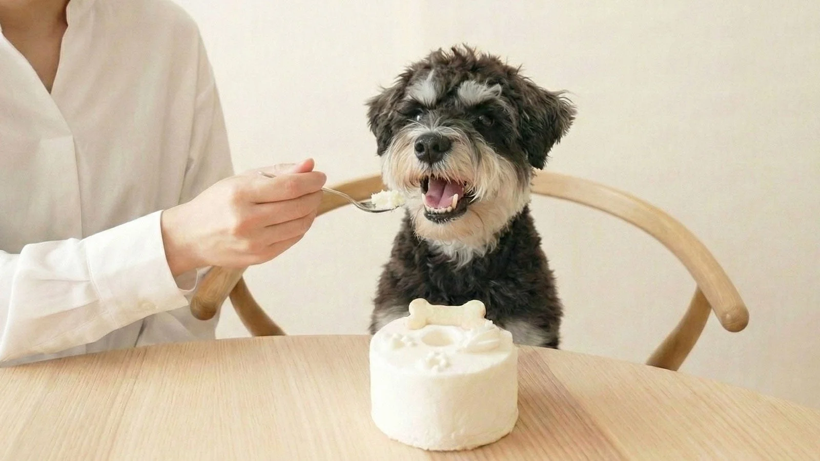 犬と人がケーキを食べる様子