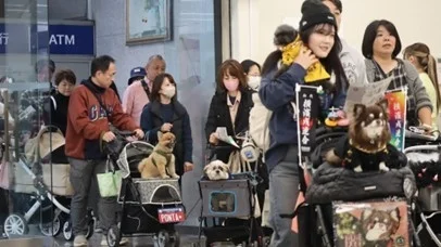 ペットと移動する人々