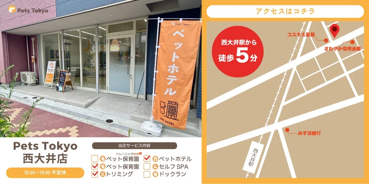 Pets Tokyo 西大井店の外観とアクセス情報