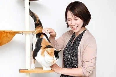 猫と女性の触れ合い