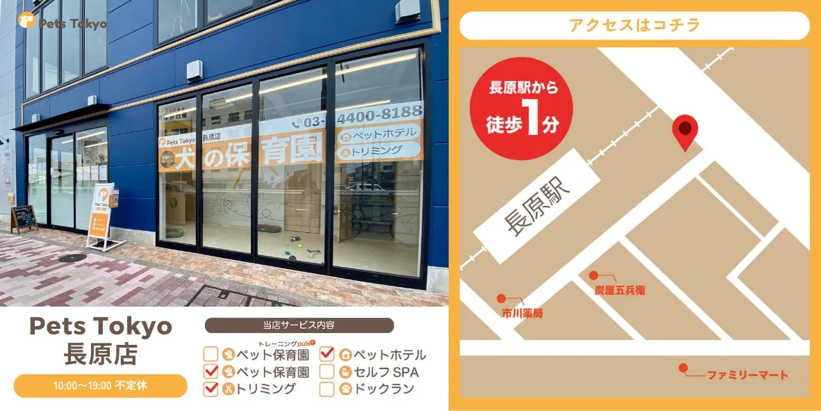 Pets Tokyo 長原店