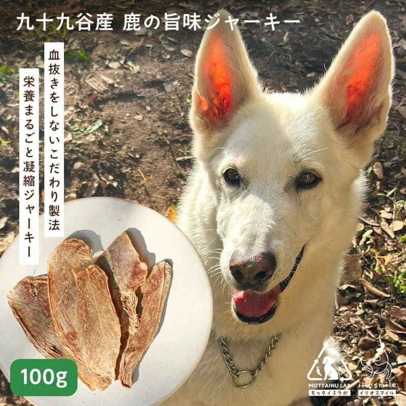 犬と100gジャーキー