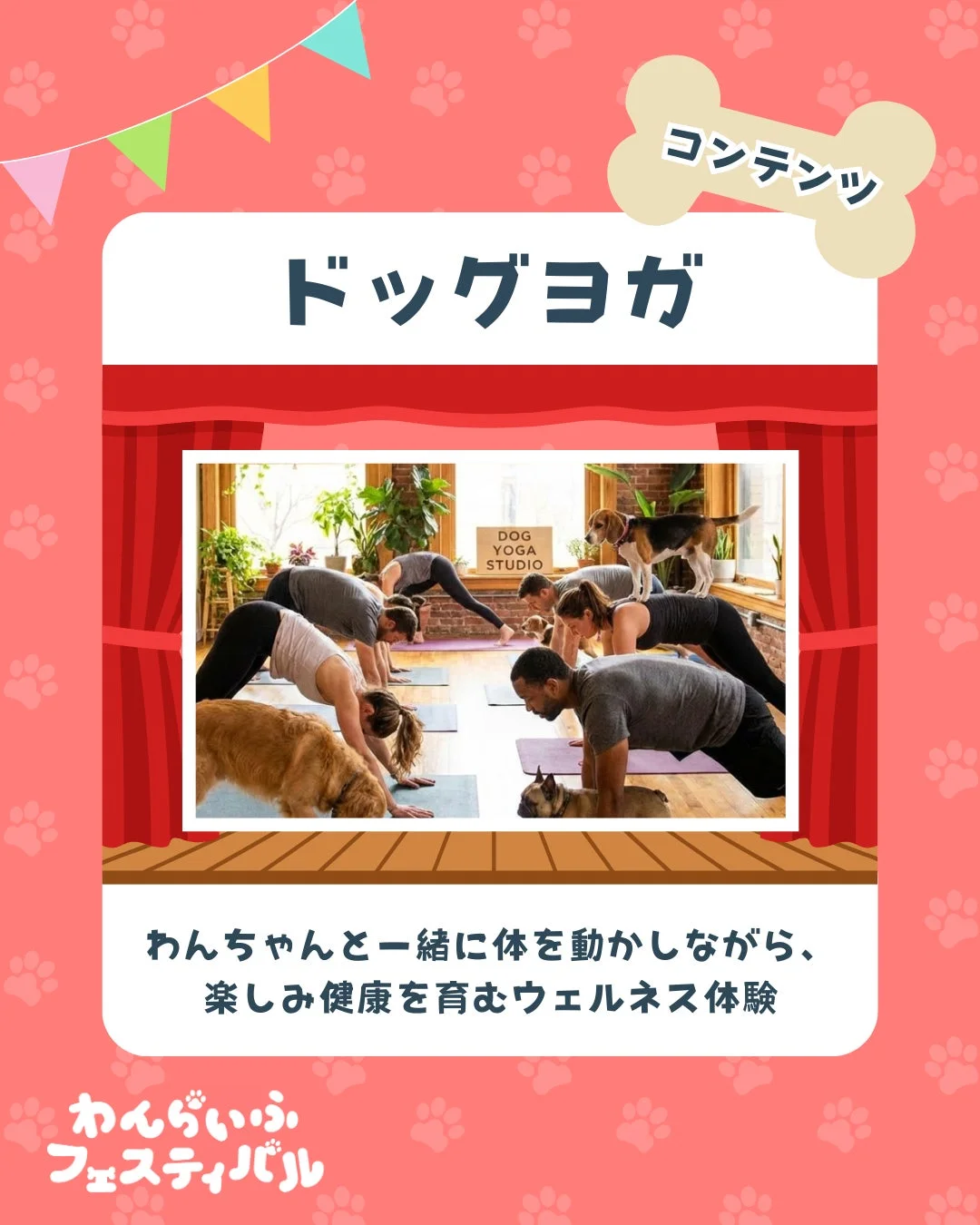 ドッグヨガ