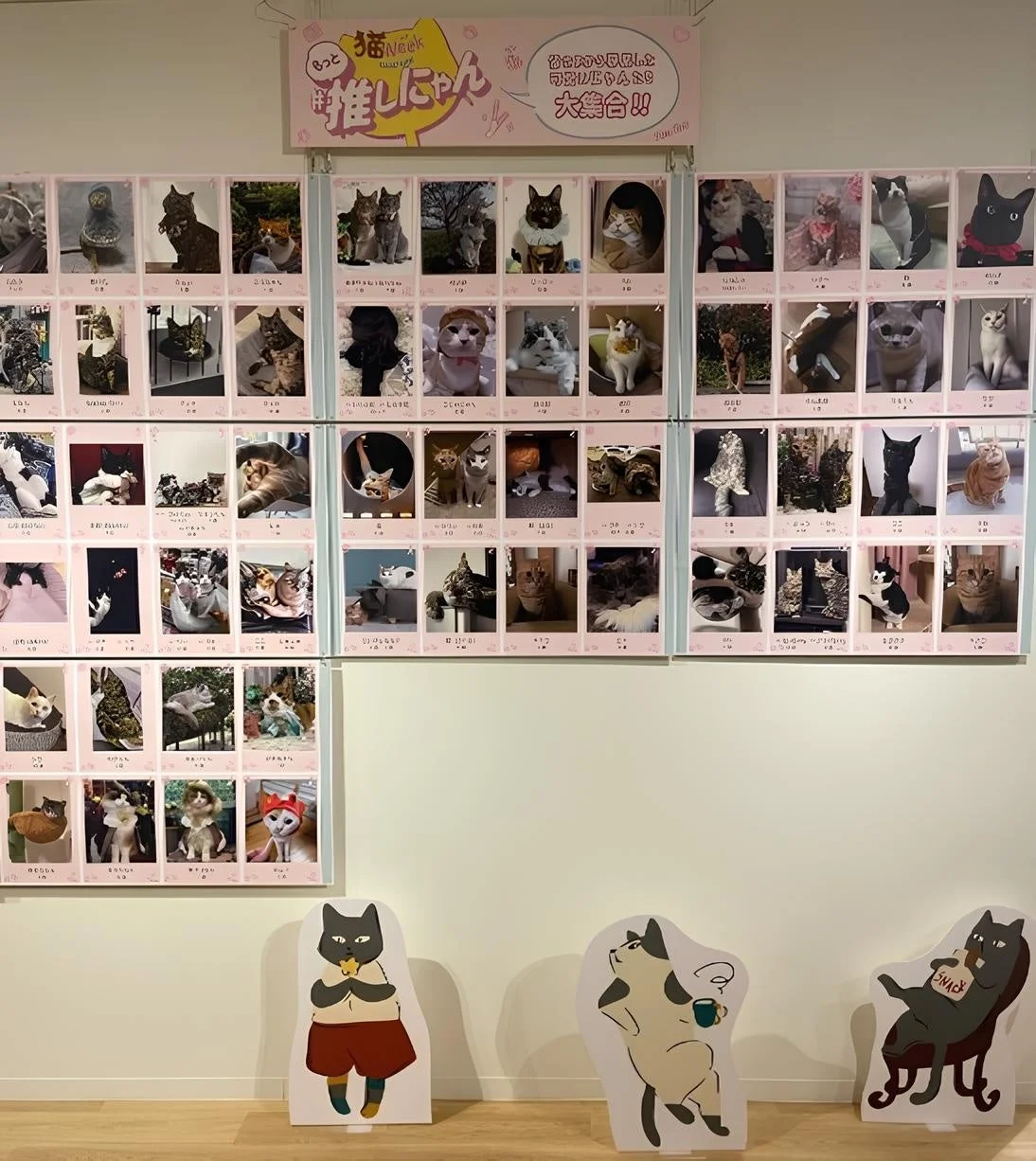 推しにゃん展示風景