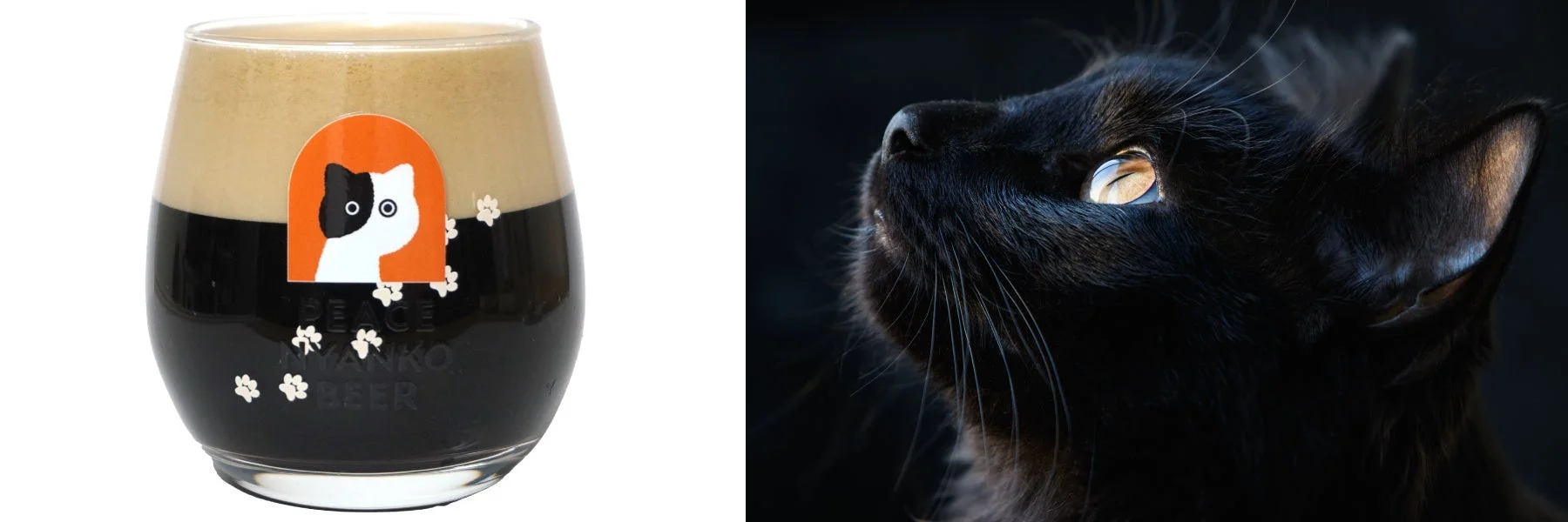 黒猫とグラス