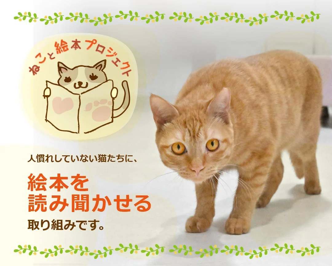 茶トラ猫と「ねこと絵本プロジェクト」の紹介