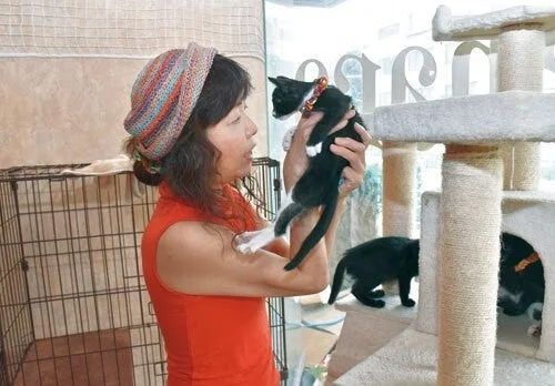 カラフルな帽子をかぶった女性が黒い子猫を抱き上げており、近くのキャットタワーには他の黒い子猫たちが遊んでいる様子が写っています。