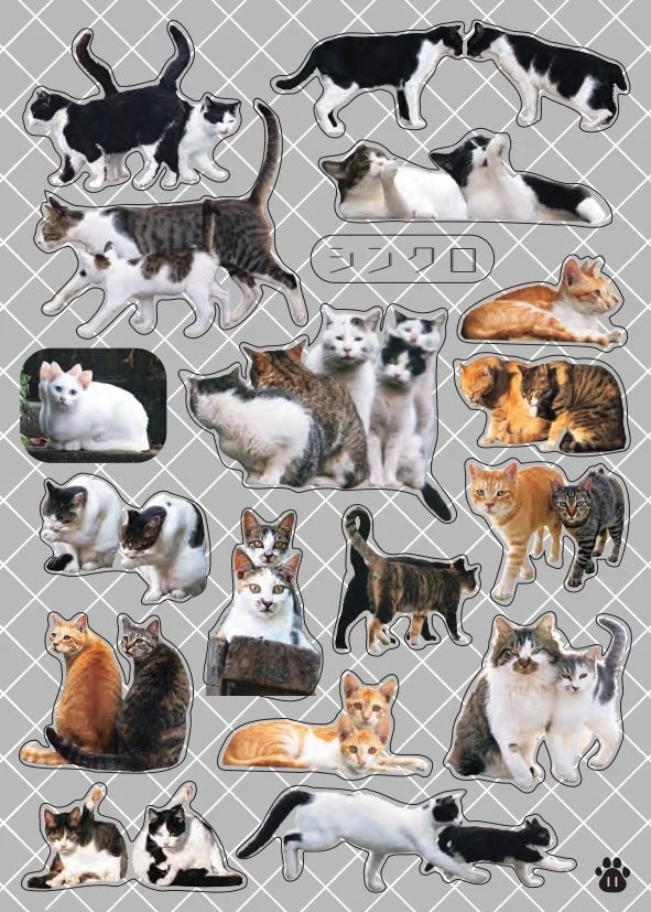色々な猫たちのコラージュシール