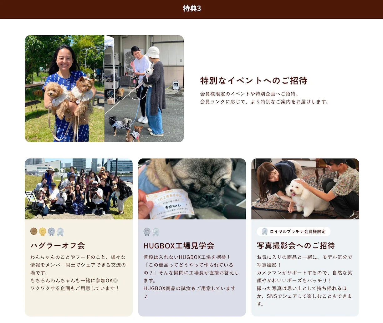 特別なイベントへのご招待