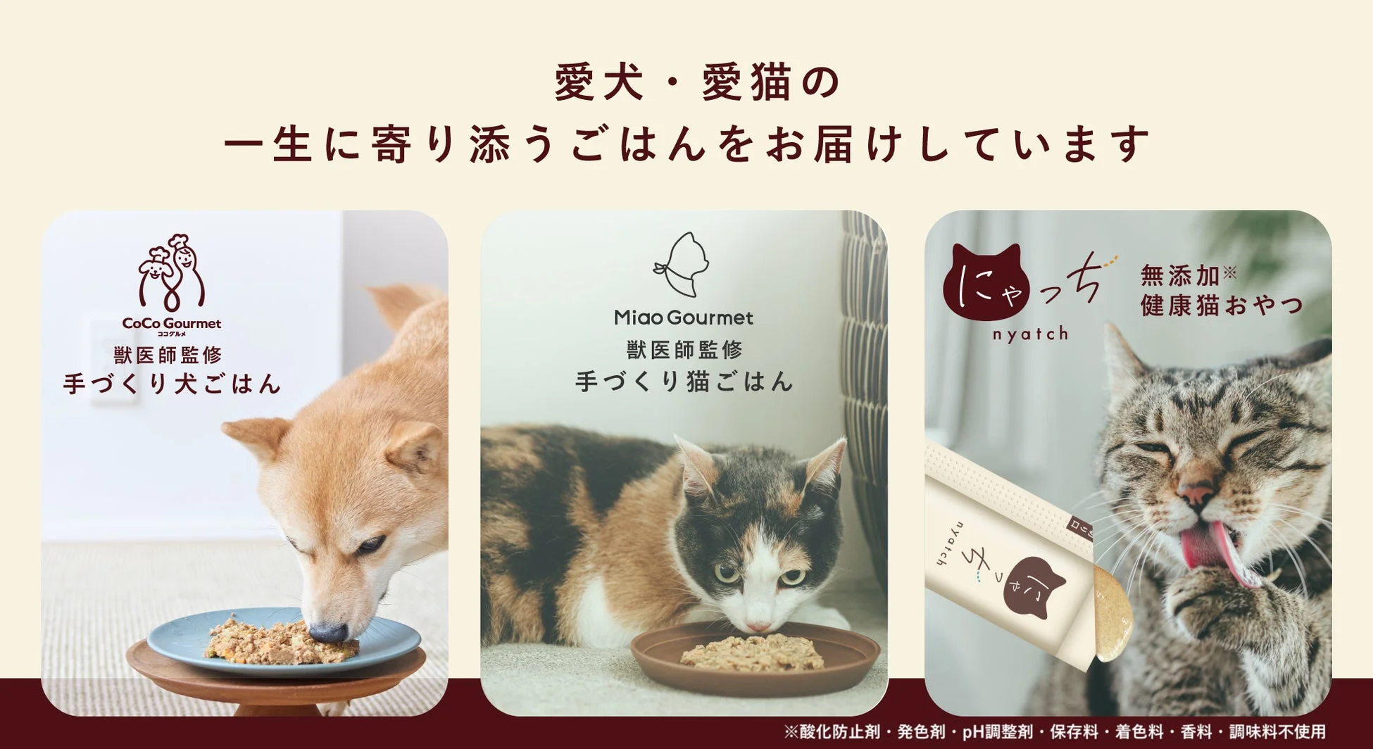 ココグルメ、ミャオグルメ、にゃっち ブランド紹介