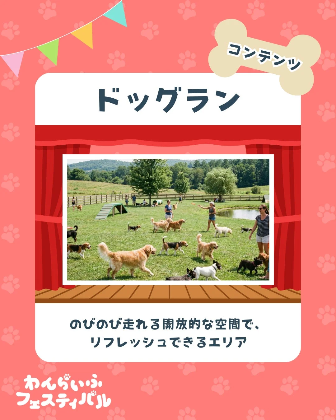 ドッグラン