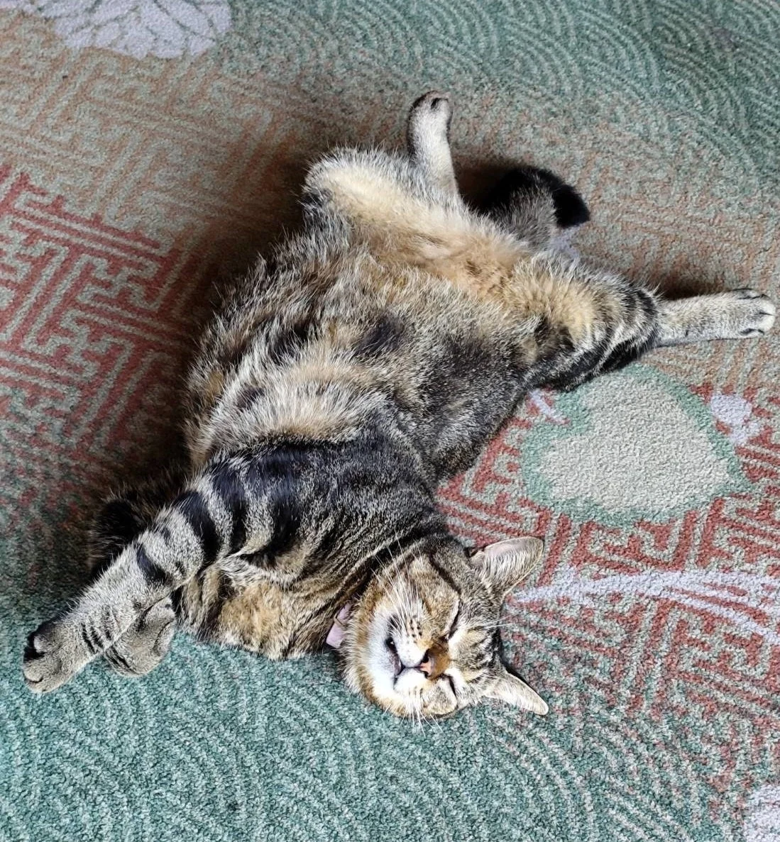 おやかた