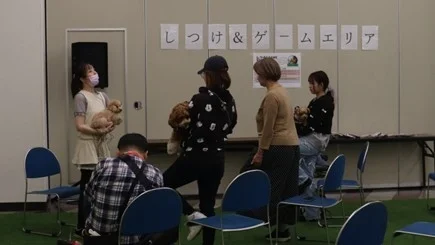 しつけ＆ゲームエリアの様子