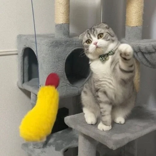 にゃんこ日和の猫おもちゃイメージ
