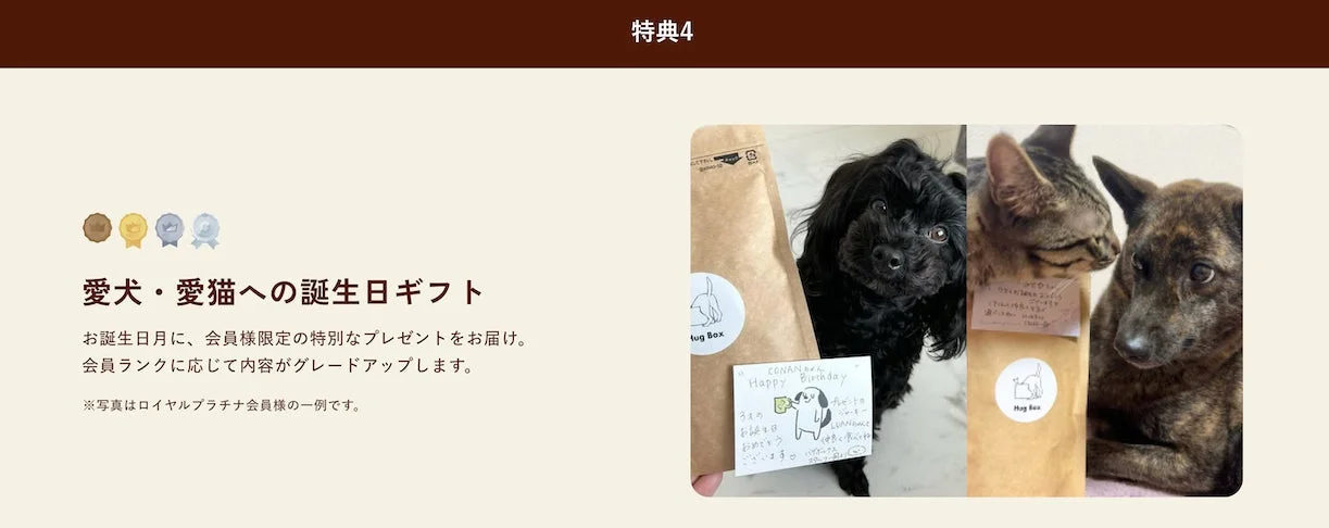 愛犬・愛猫への誕生日ギフト
