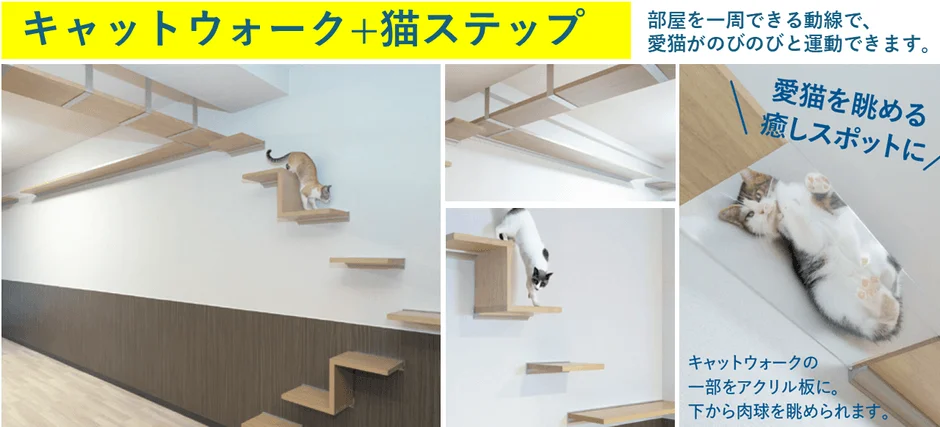 キャットウォークと猫ステップ