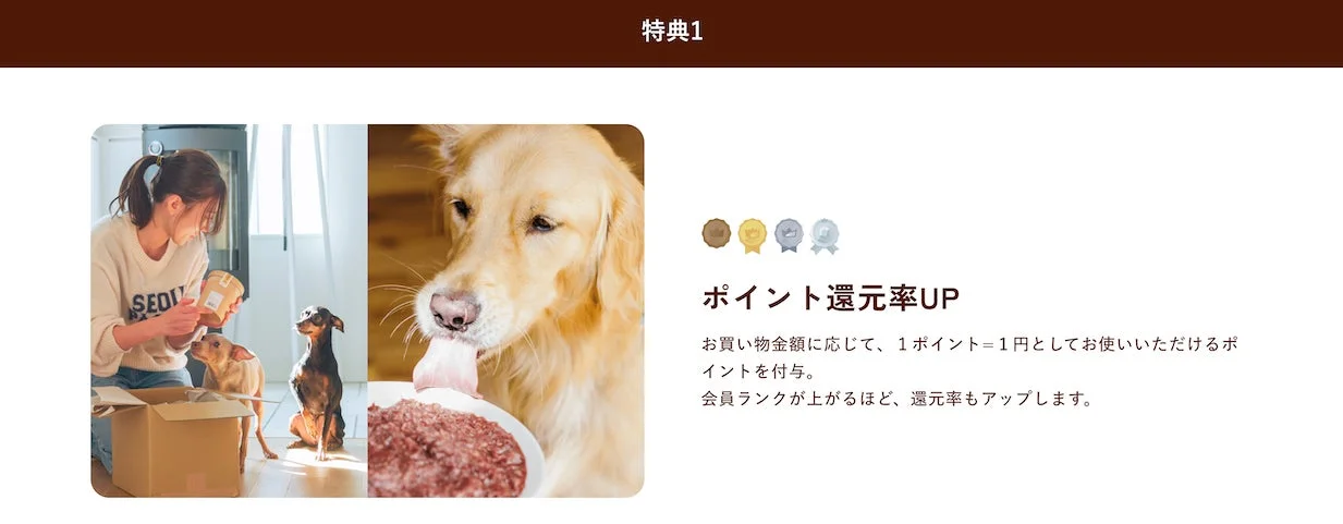 ポイント還元率UP