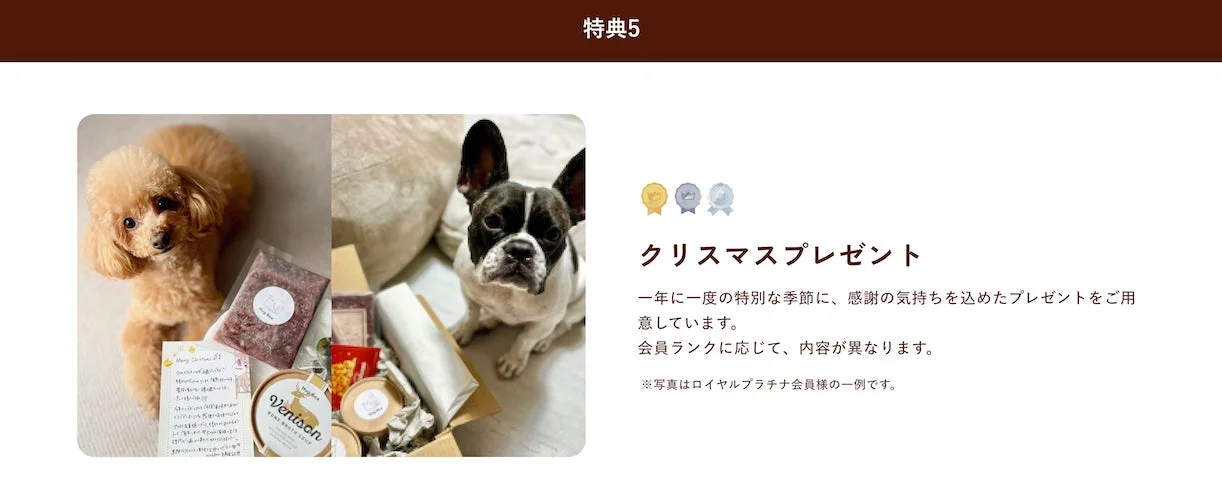 クリスマスプレゼント