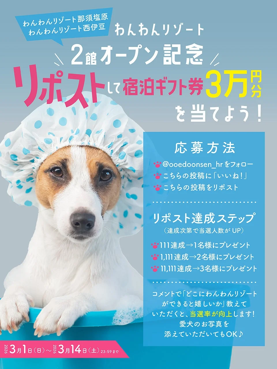 Xキャンペーン