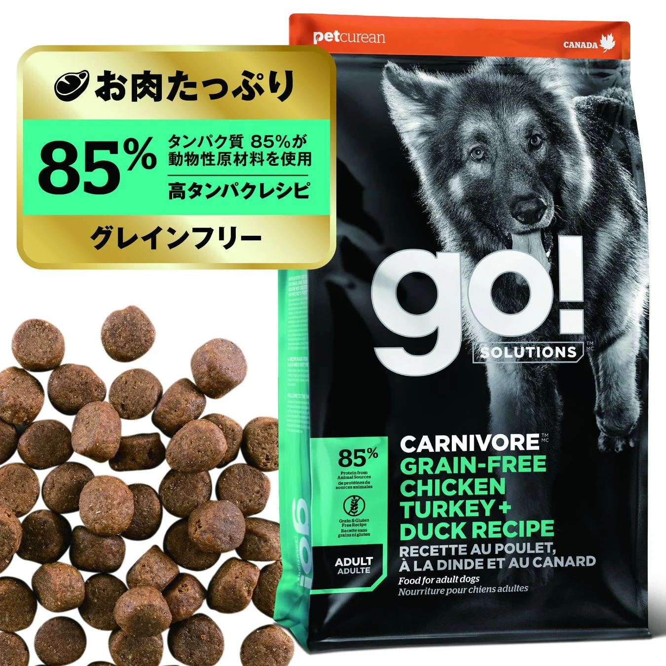 GO!SOLUTIONS CARNIVOREのパッケージとフード