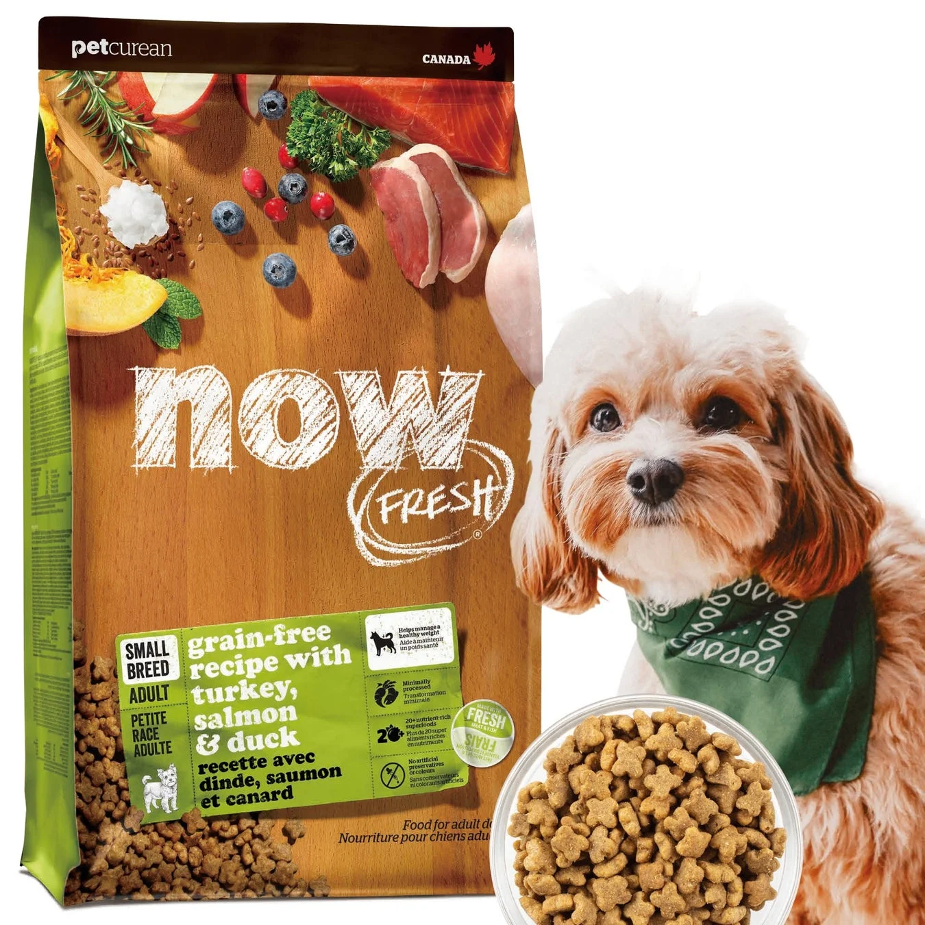 NOW FRESH 小型犬用グレインフリーのパッケージと犬、フード