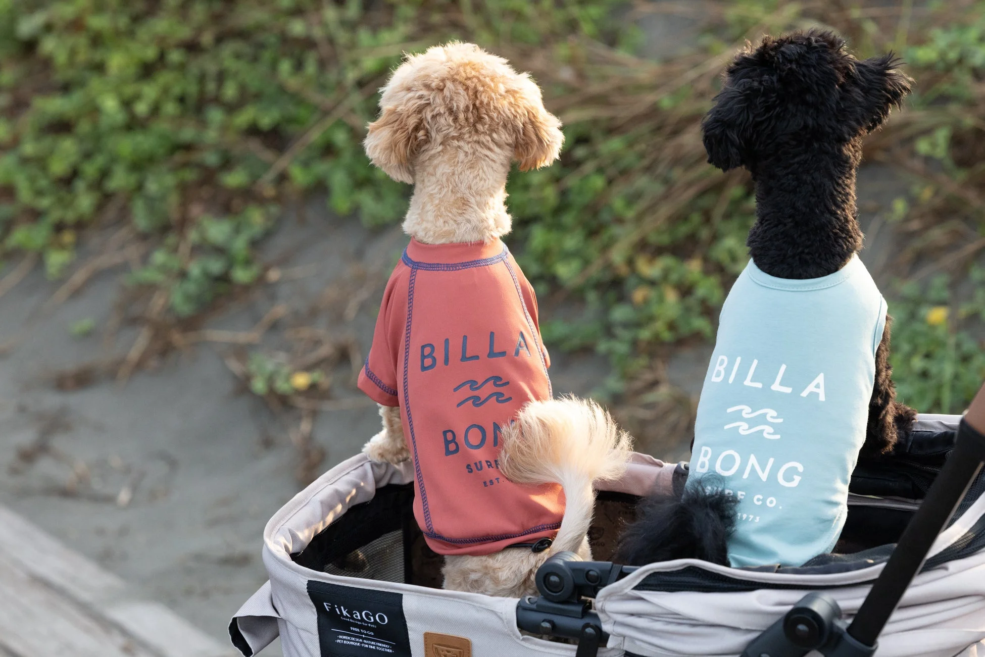 ペットカートに乗った犬たち