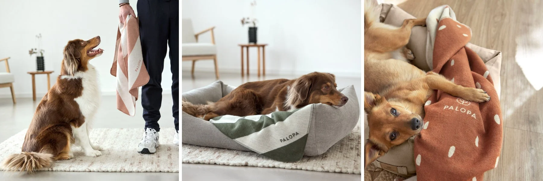 Dog Blanket Ida