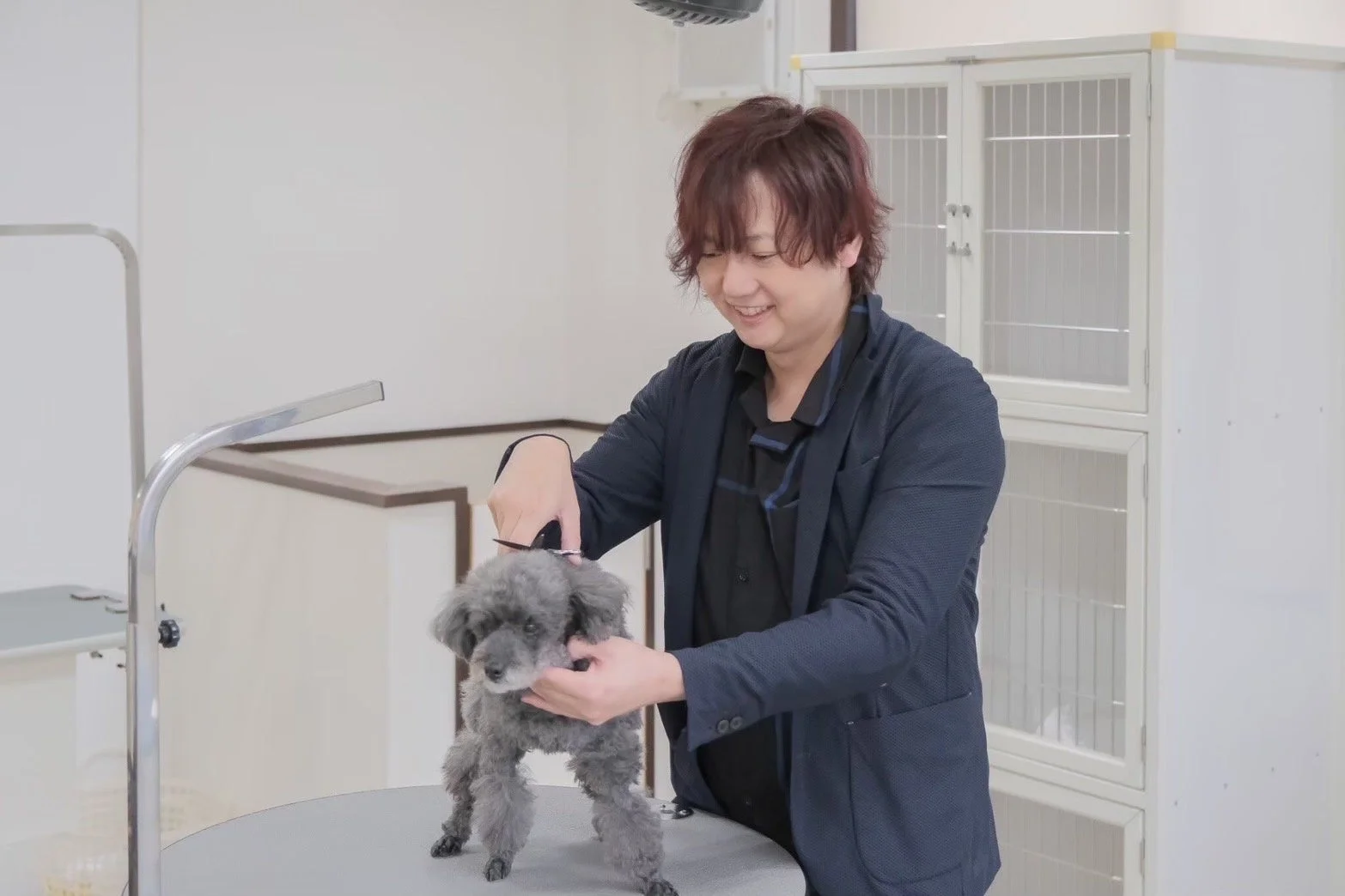 男性トリマーが犬をグルーミングしている様子