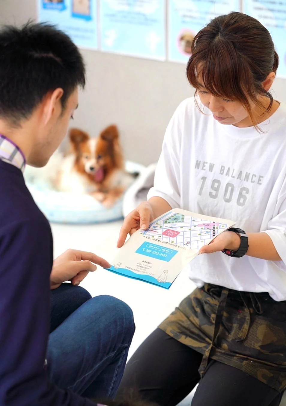 ペット関連施設で説明を受ける男性とパピヨン犬
