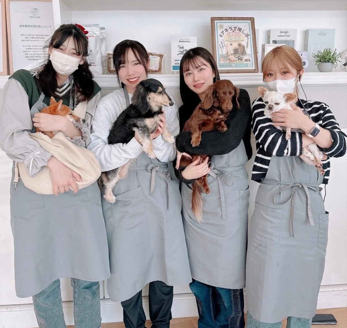 エプロンを着用し犬を抱くスタッフ