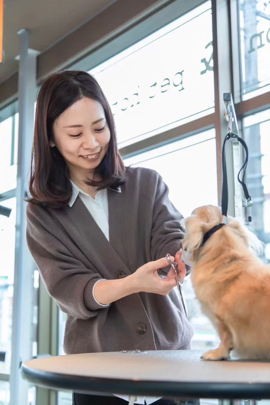 女性トリマーが小型犬をトリミングしている様子