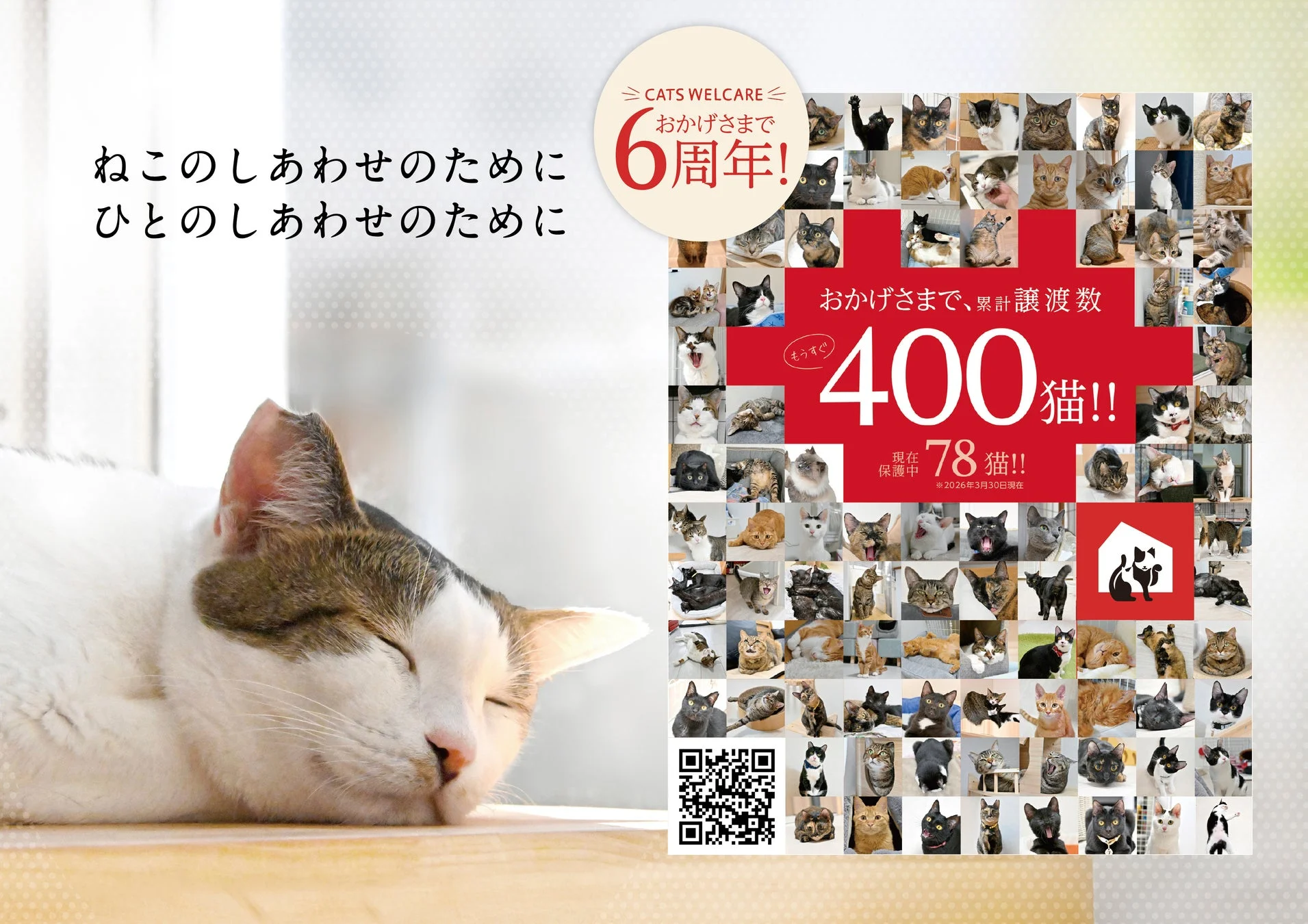 CATS WELCARE 6周年と譲渡実績
