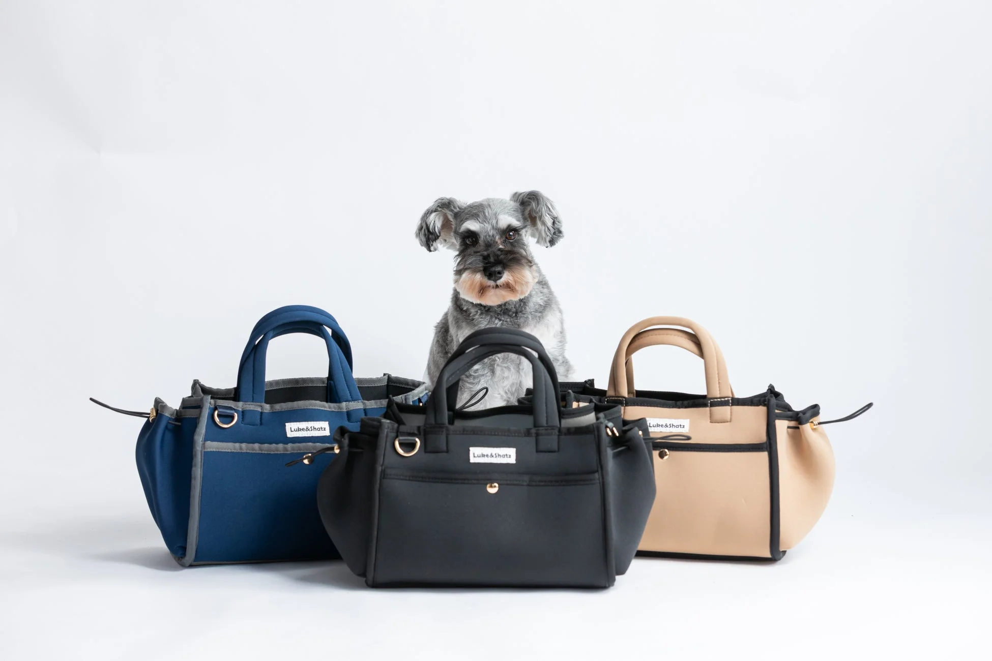 犬、シュナウザー、ペット、バッグ、ハンドバッグ