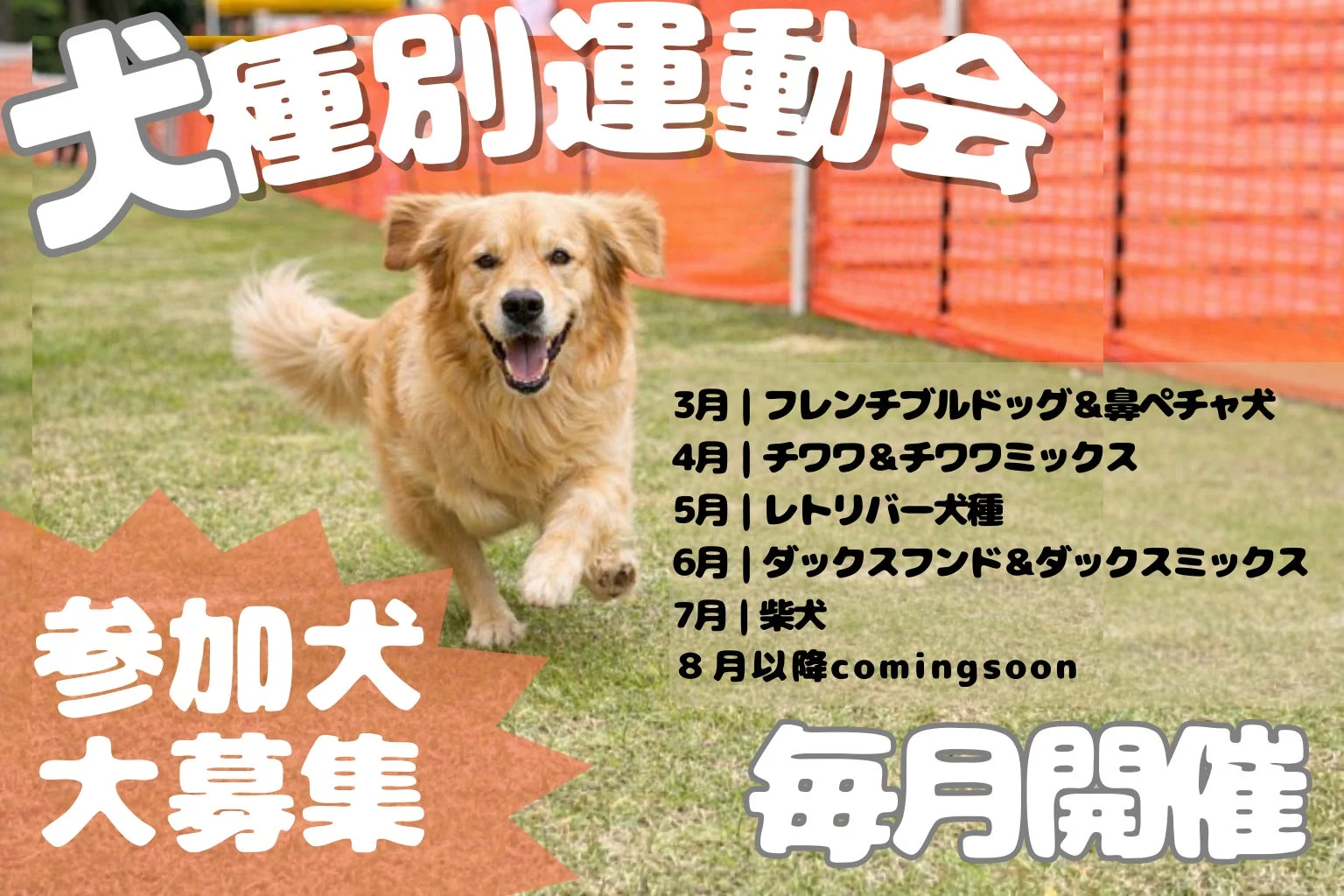 犬種別運動会