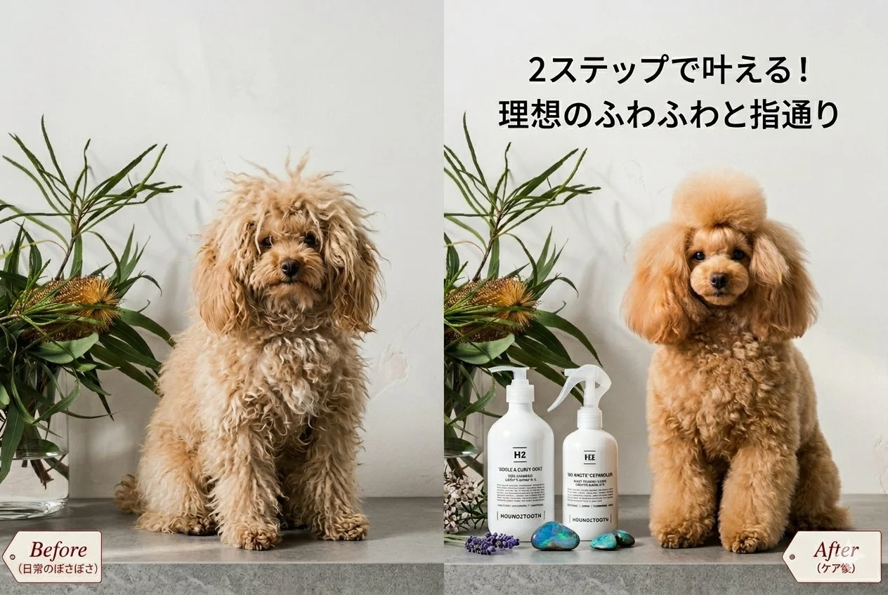 ビフォーアフターのプードル