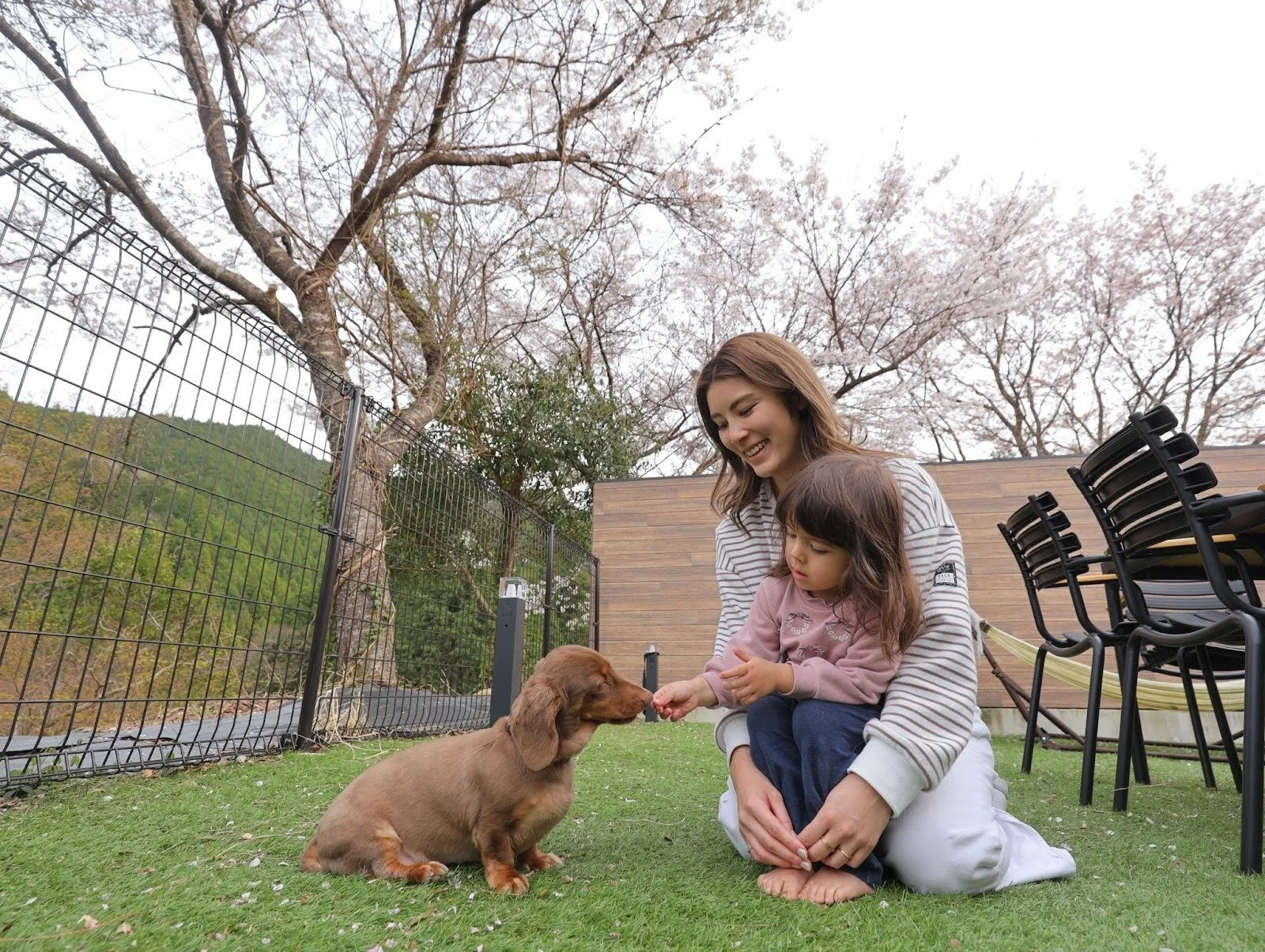 CHIKATSUYUでの家族と犬