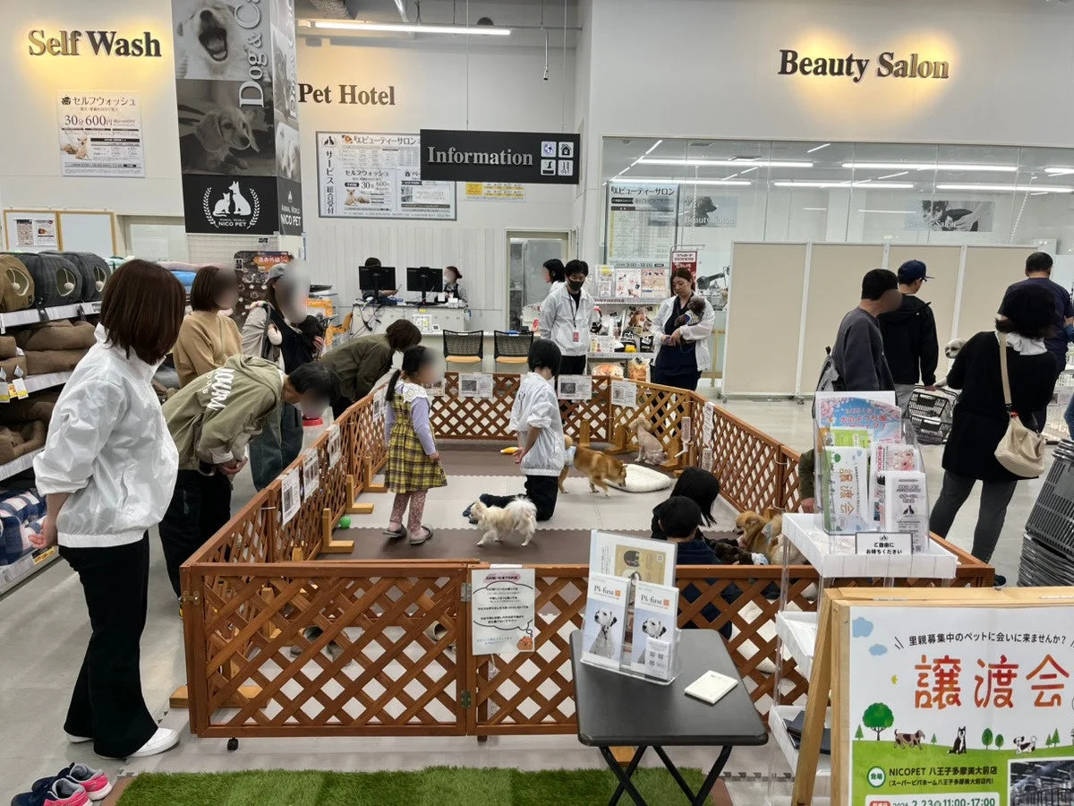 ペットショップの店内で開催されている犬の譲渡会の様子