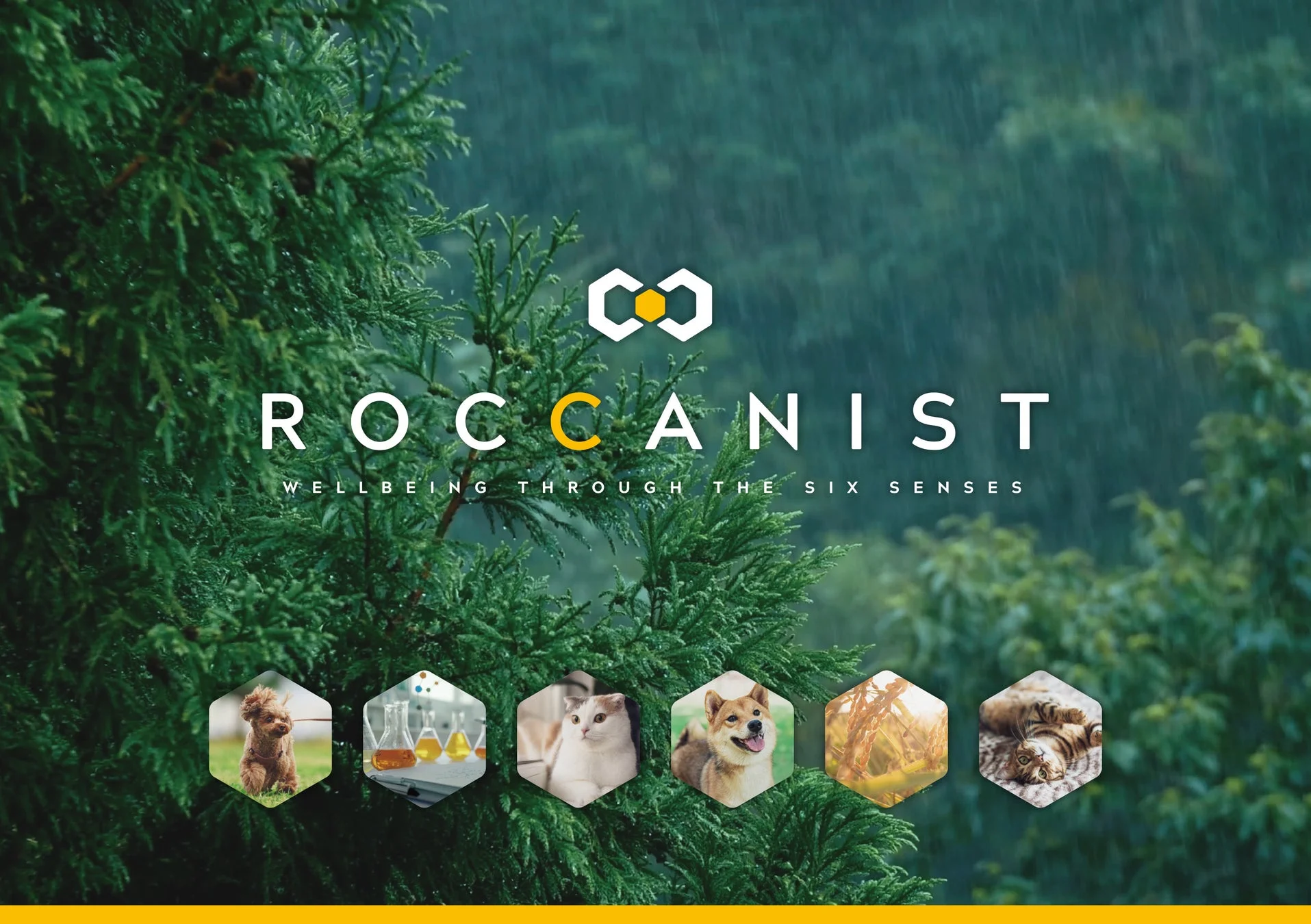 ROCCANISTロゴとコンセプト