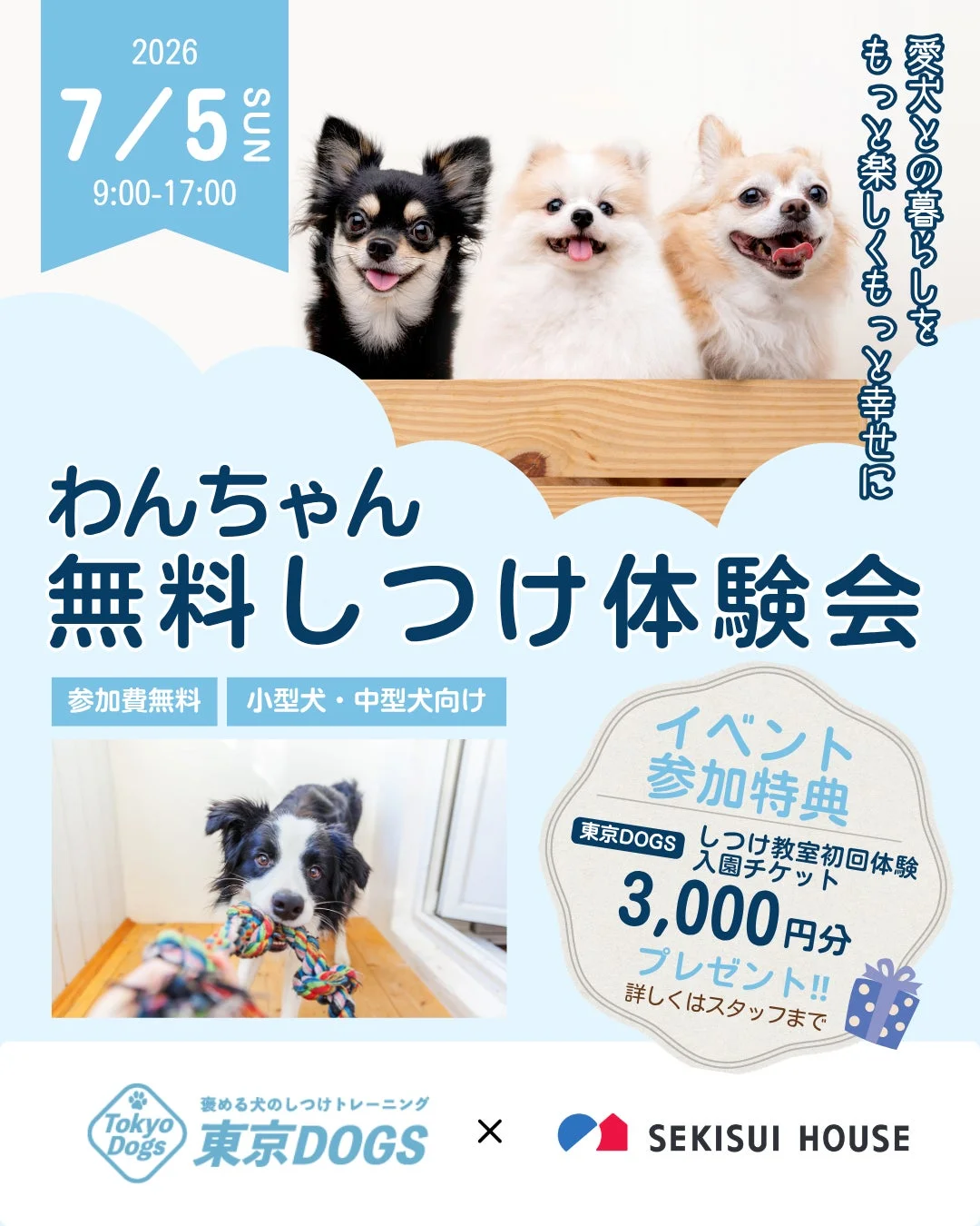 愛犬との毎日がもっとハッピーに！越谷レイクタウンで無料しつけ教室開催！