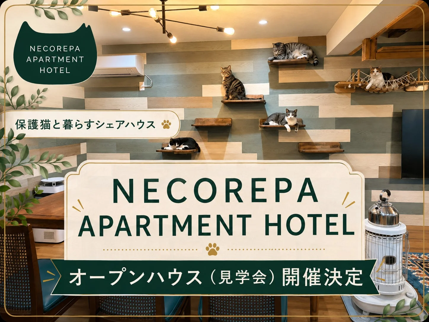 保護猫と夢のシェアハウス生活！飛騨古川『NECOREPA APARTMENT HOTEL』で猫まみれの毎日を体験しよう！