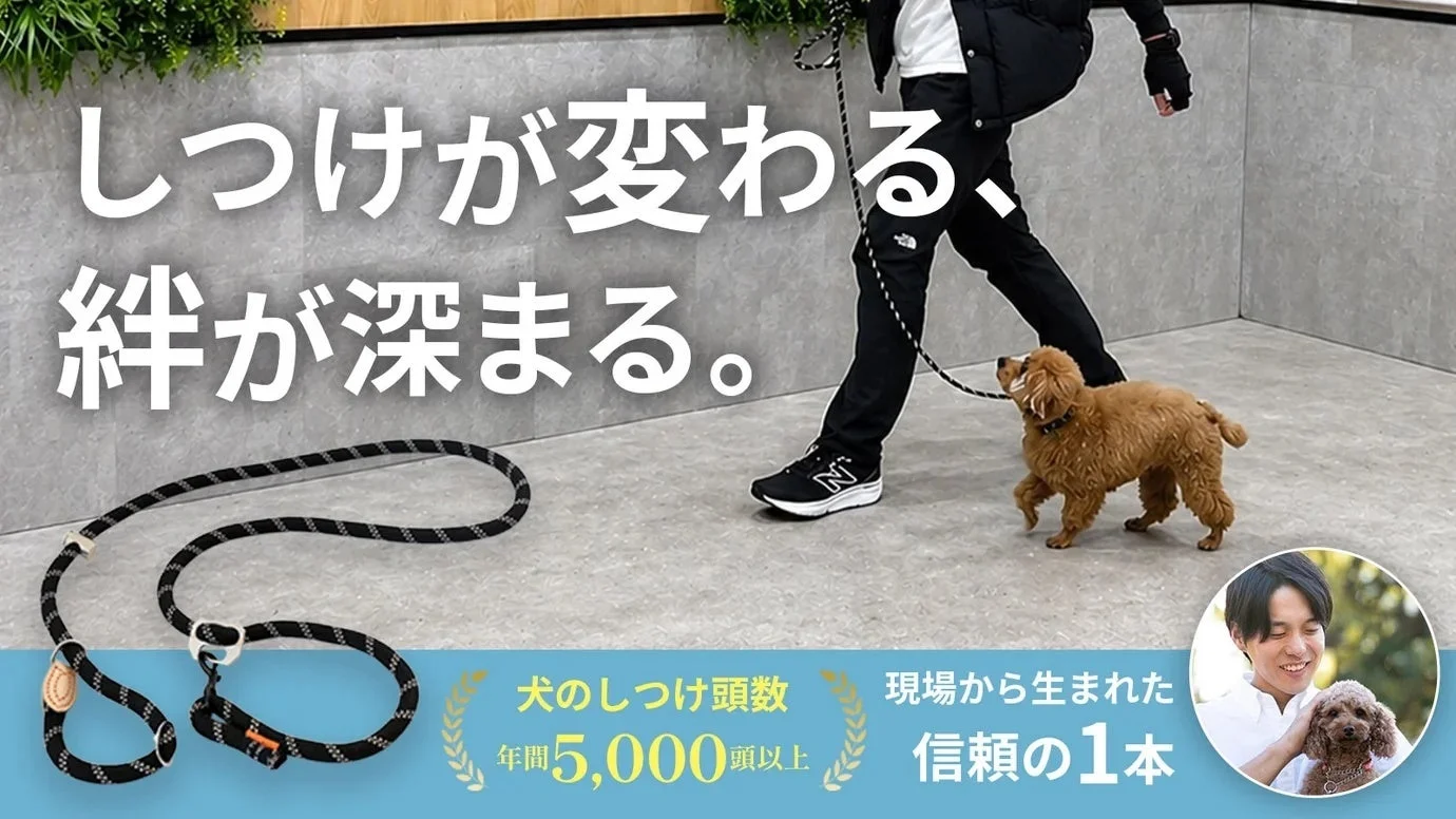 散歩がもっと楽しくなる！プロ考案の「トレーニングリード」がMakuakeで大ヒット中！